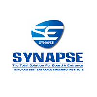 SYNAPSE